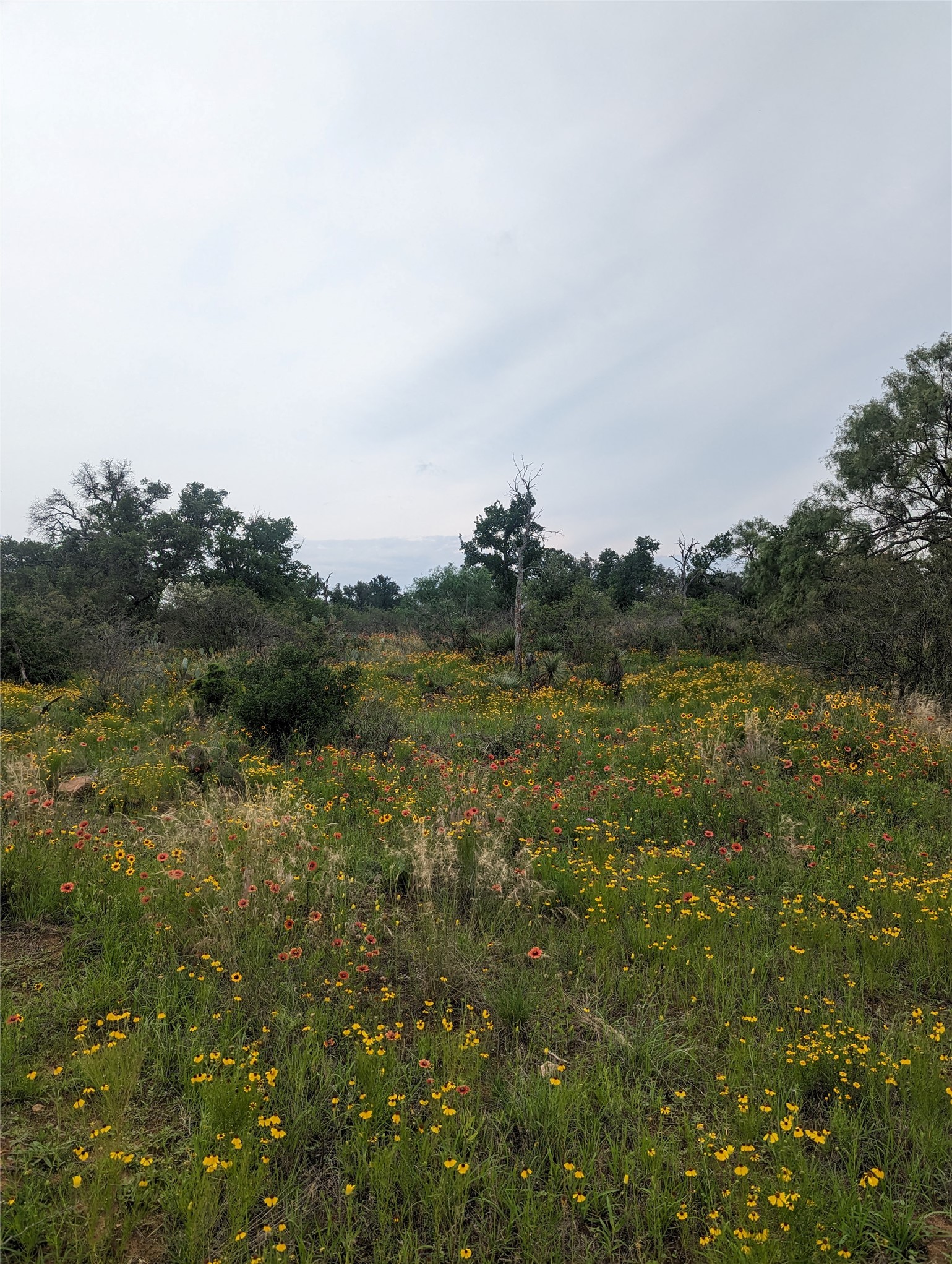 152 West Ranch Road 152 Llano, TX 78643 - Photo 30 of 30