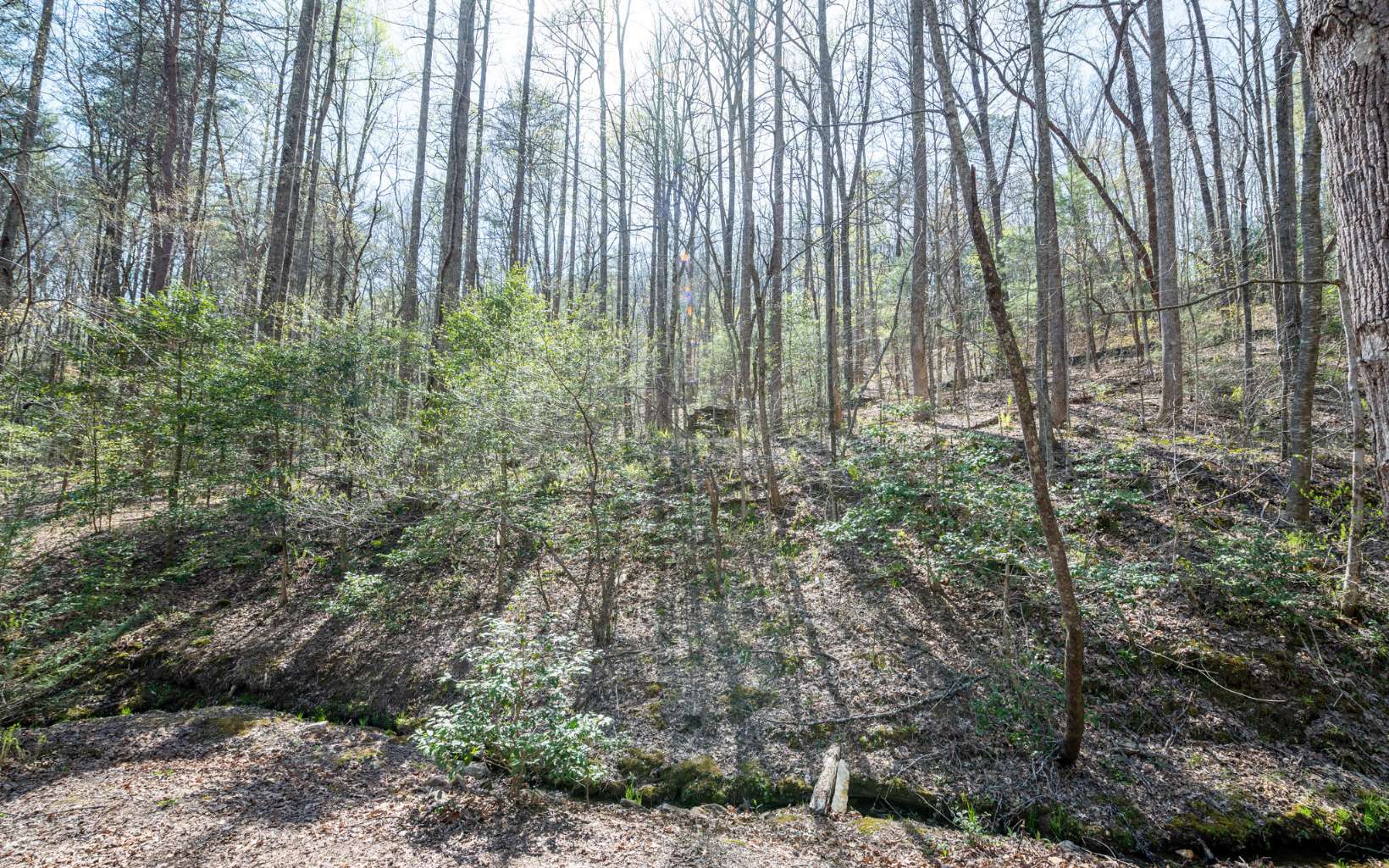 279 Jason Martin Circle Blue Ridge, GA 30513 - Photo 21 of 42 Additional View