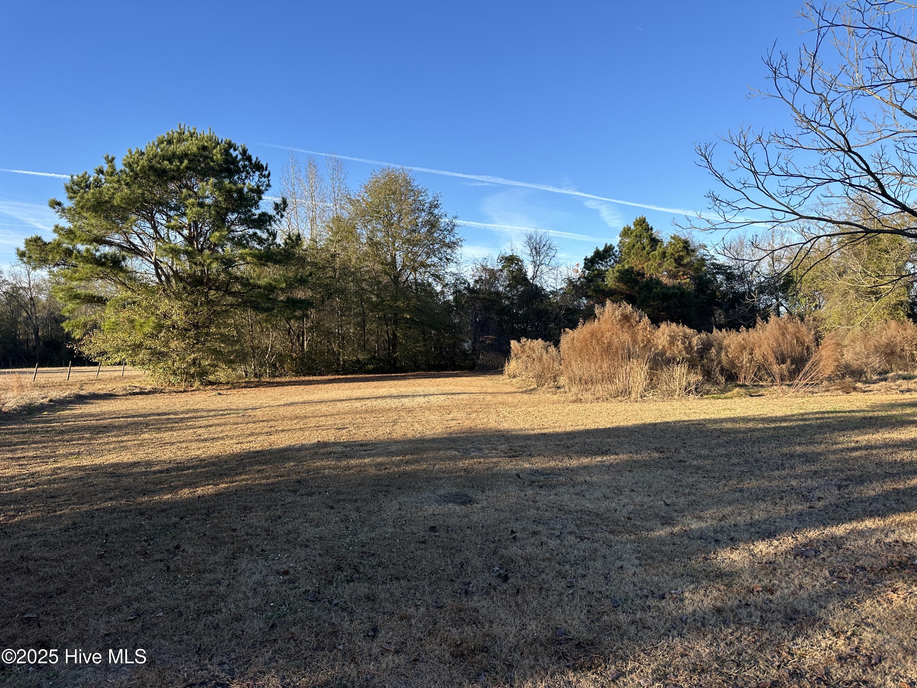 814 Luther Banks Road Beulaville, NC 28518 - Photo 1 of 5 Photo 251209 lot - Luthee 814-2