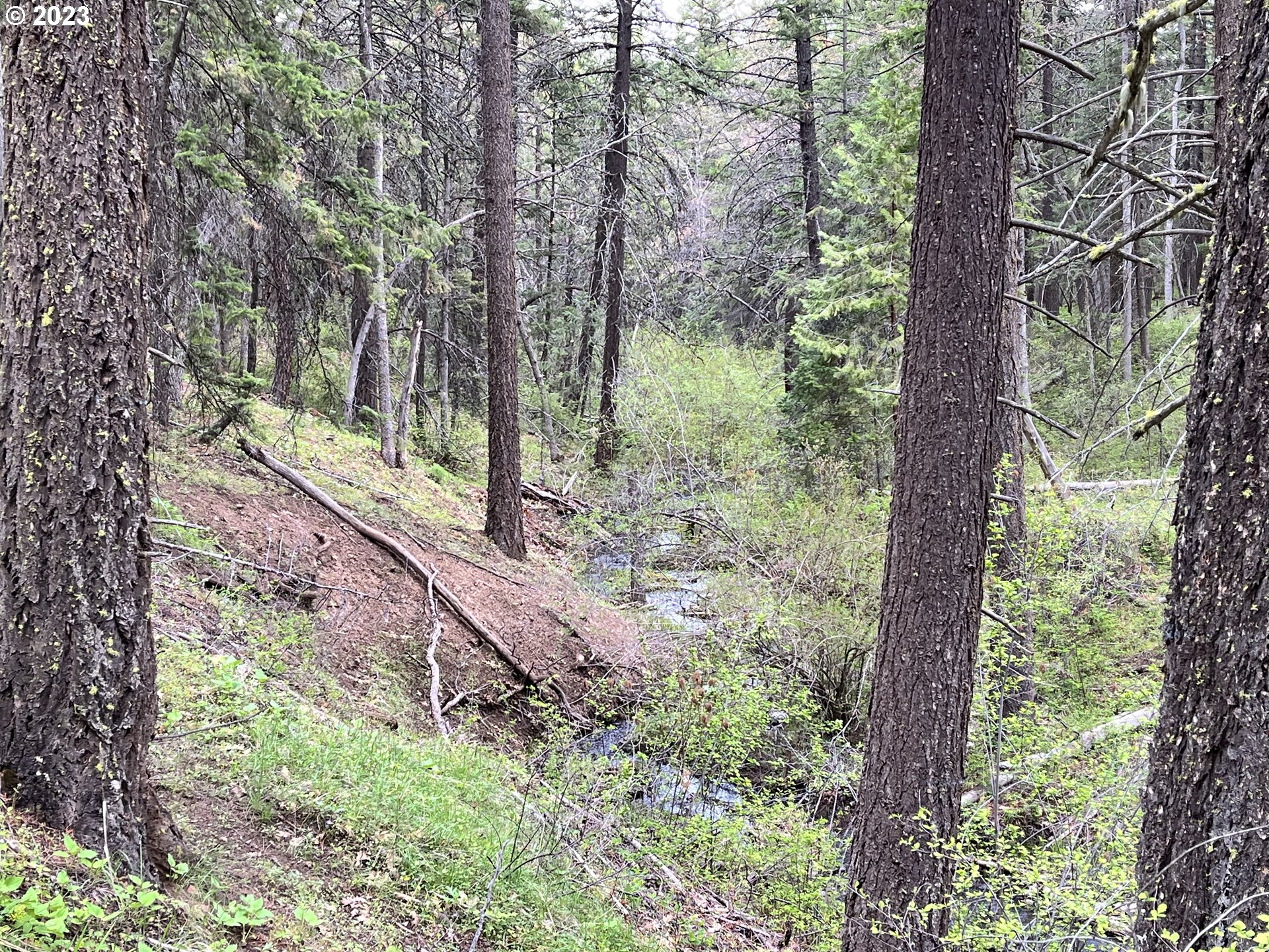 Oak Springs Road Maupin, OR 97037 - Photo 5 of 16 Gallery Image 5