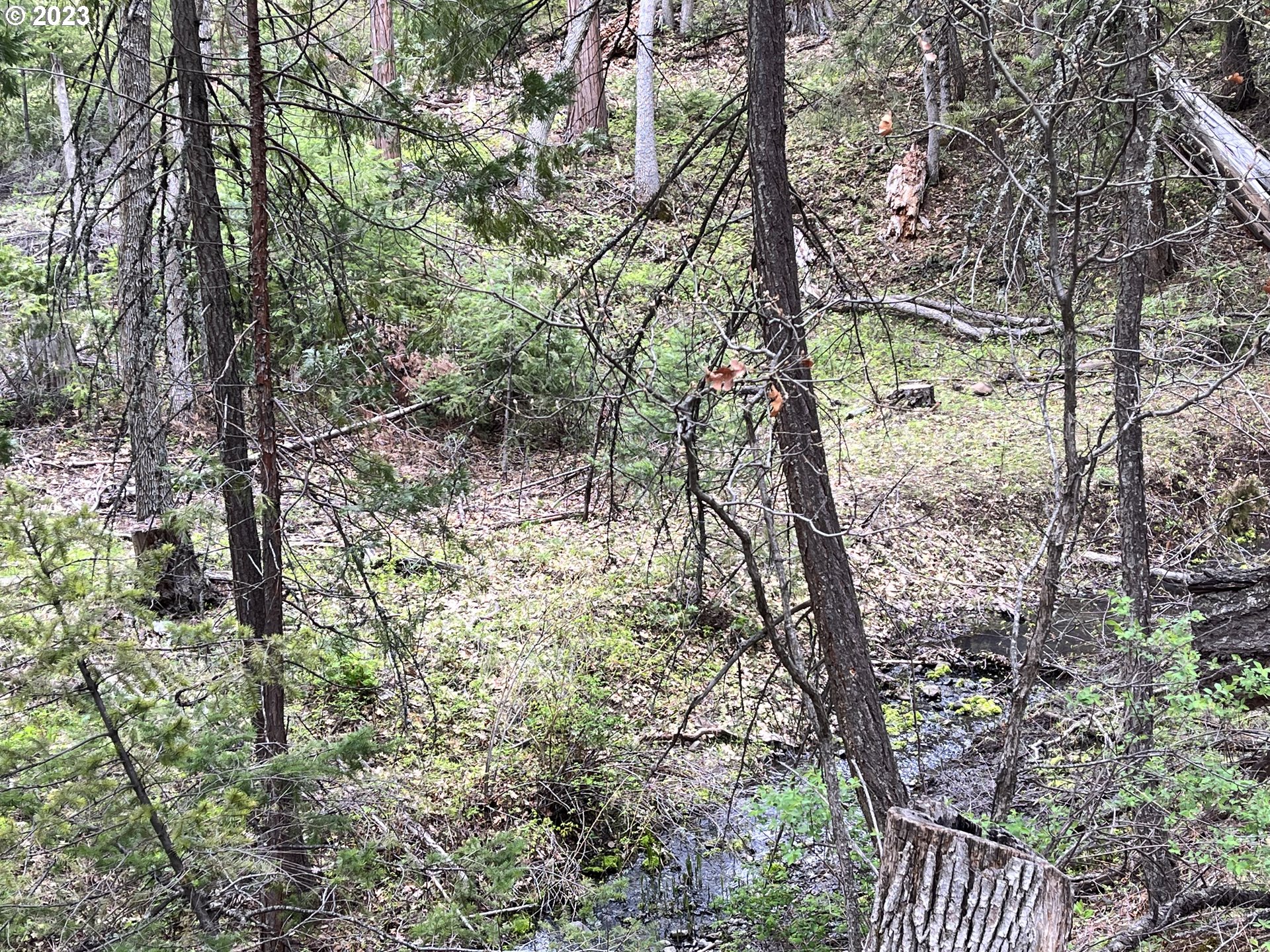 Oak Springs Road Maupin, OR 97037 - Photo 6 of 16 Gallery Image 6
