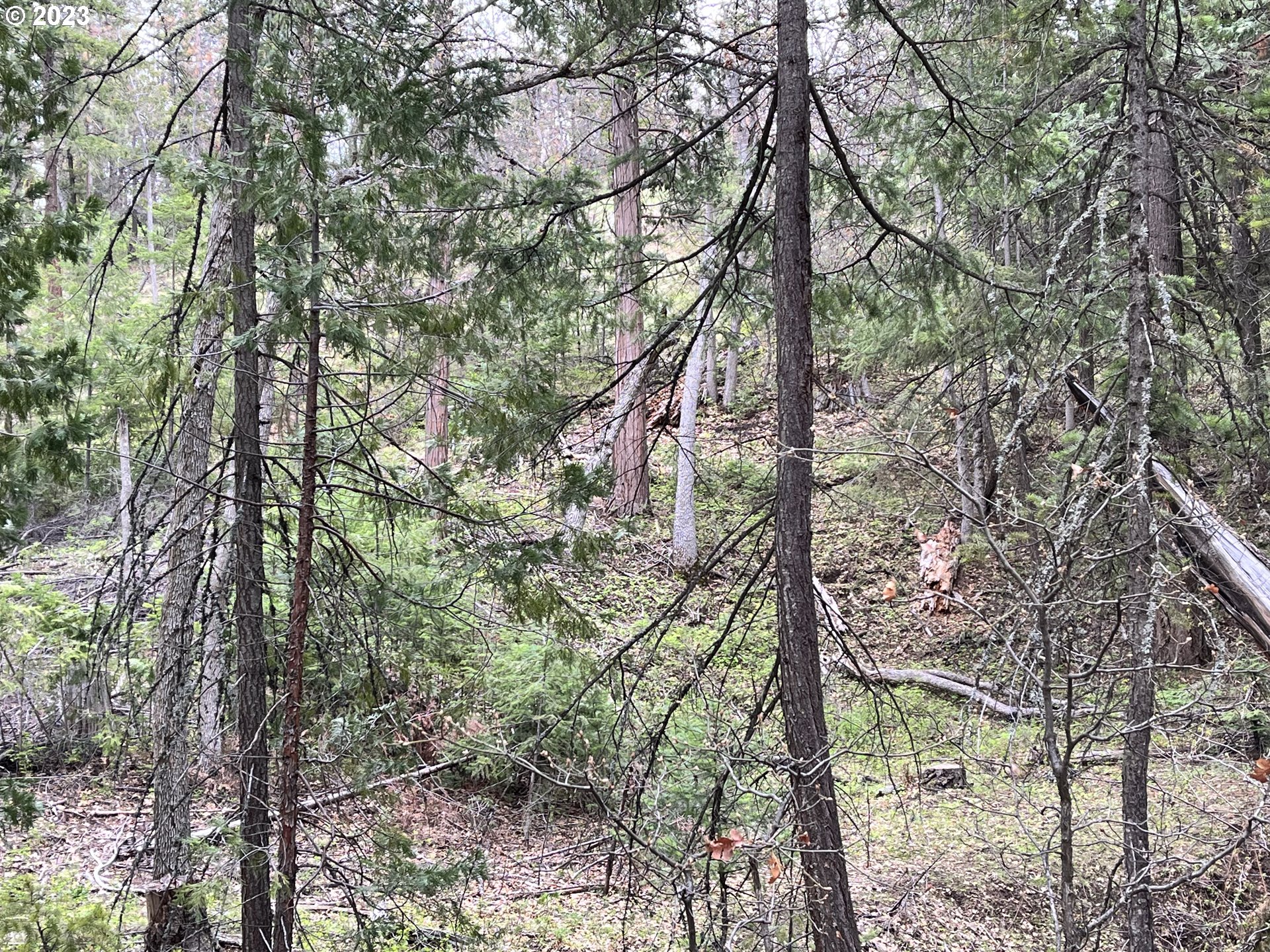 Oak Springs Road Maupin, OR 97037 - Photo 7 of 16 Gallery Image 7
