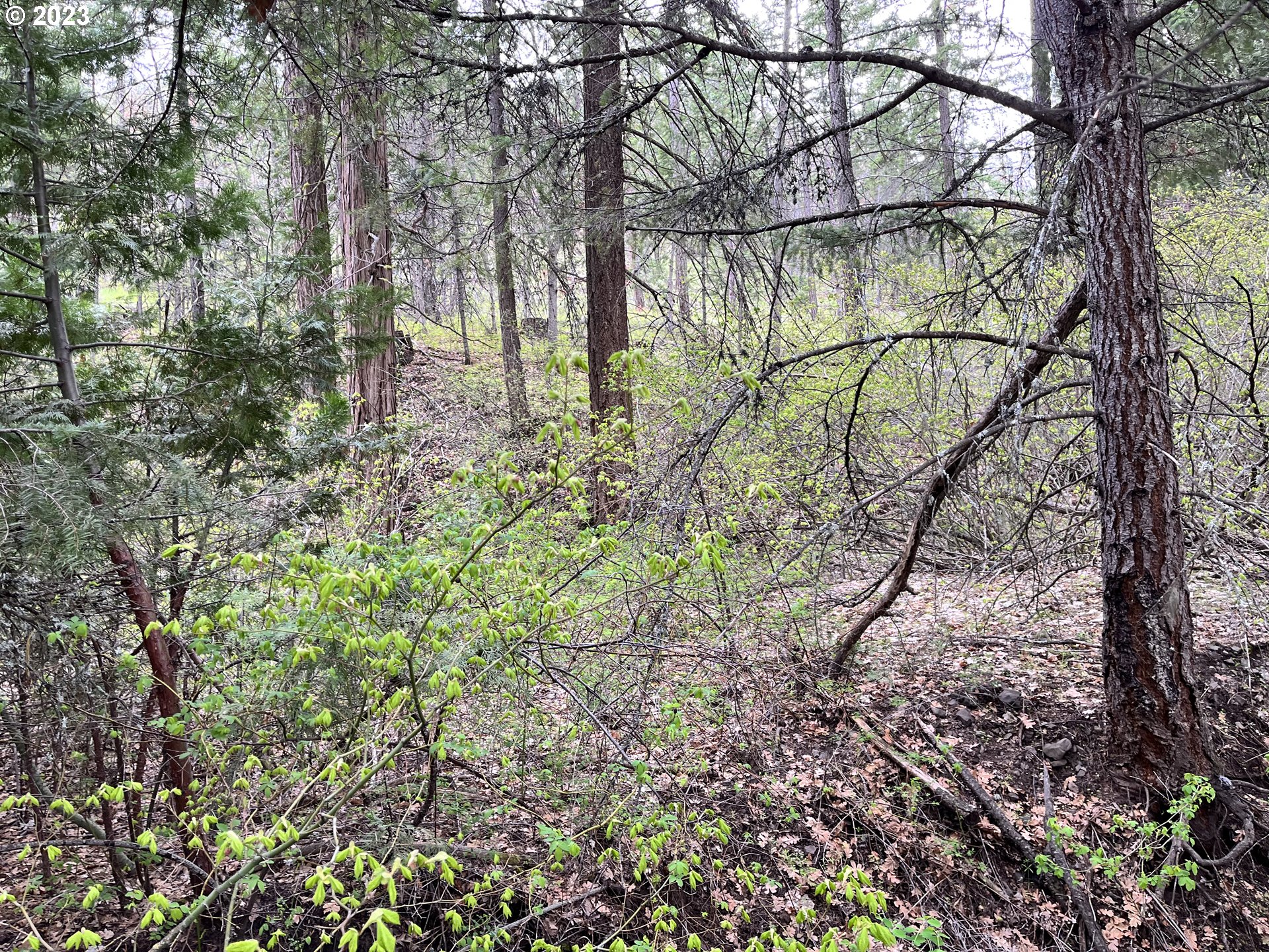 Oak Springs Road Maupin, OR 97037 - Photo 10 of 16 Gallery Image 10