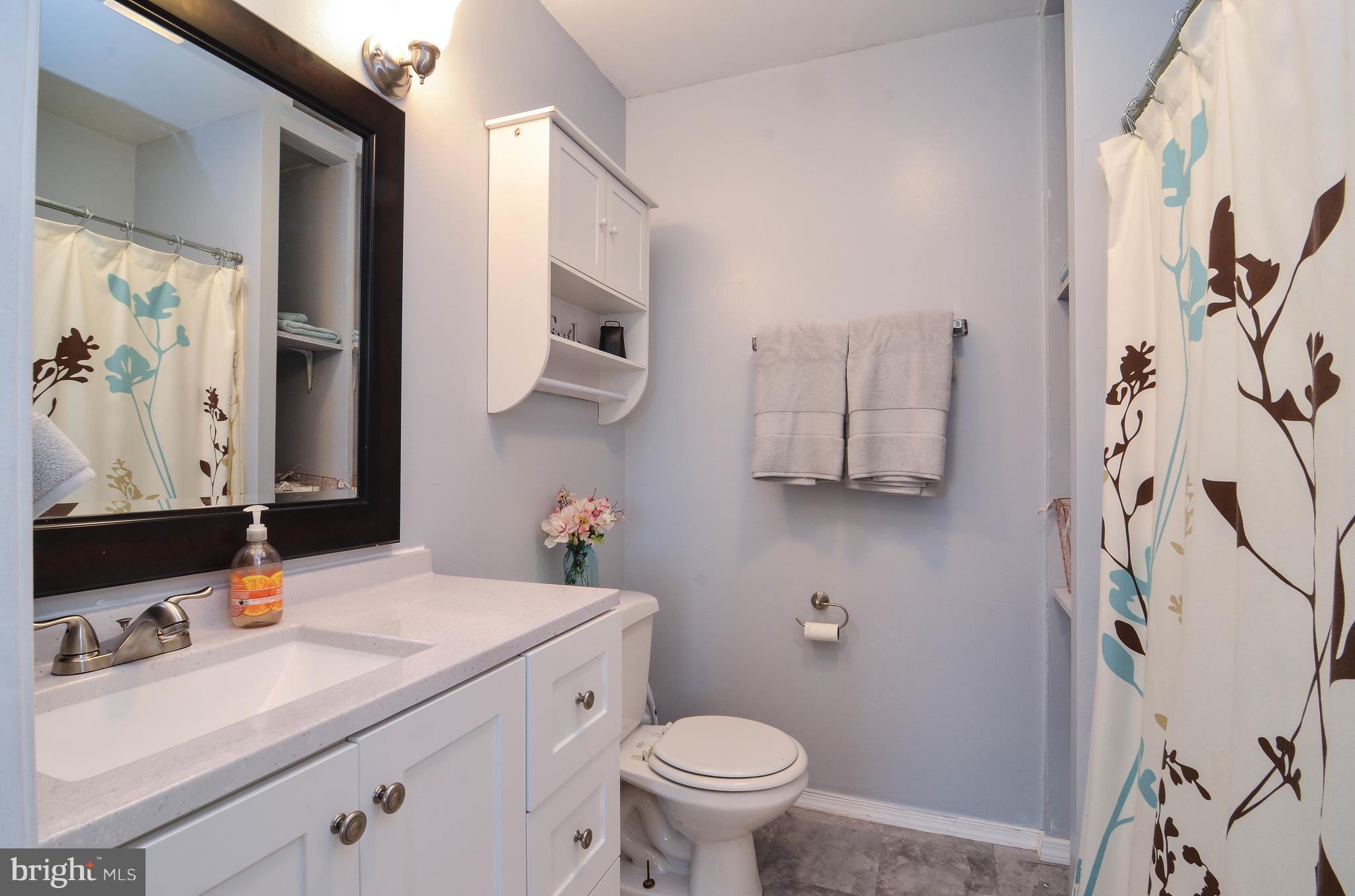 26630 Ridge Road Damascus, MD 20872 - Photo 23 of 42 1st Floor Master/In-Law Bath.