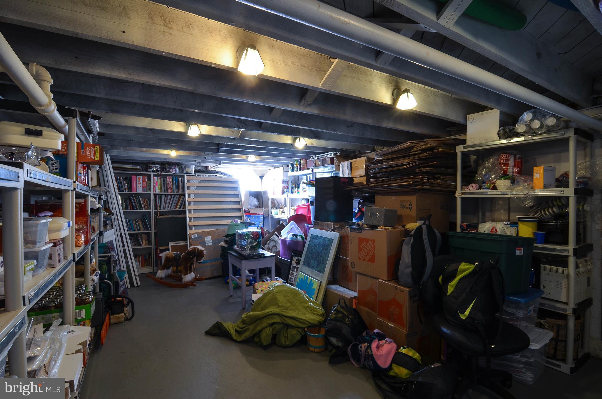 26630 Ridge Road Damascus, MD 20872 - Photo 36 of 42 Basement Storage Area.