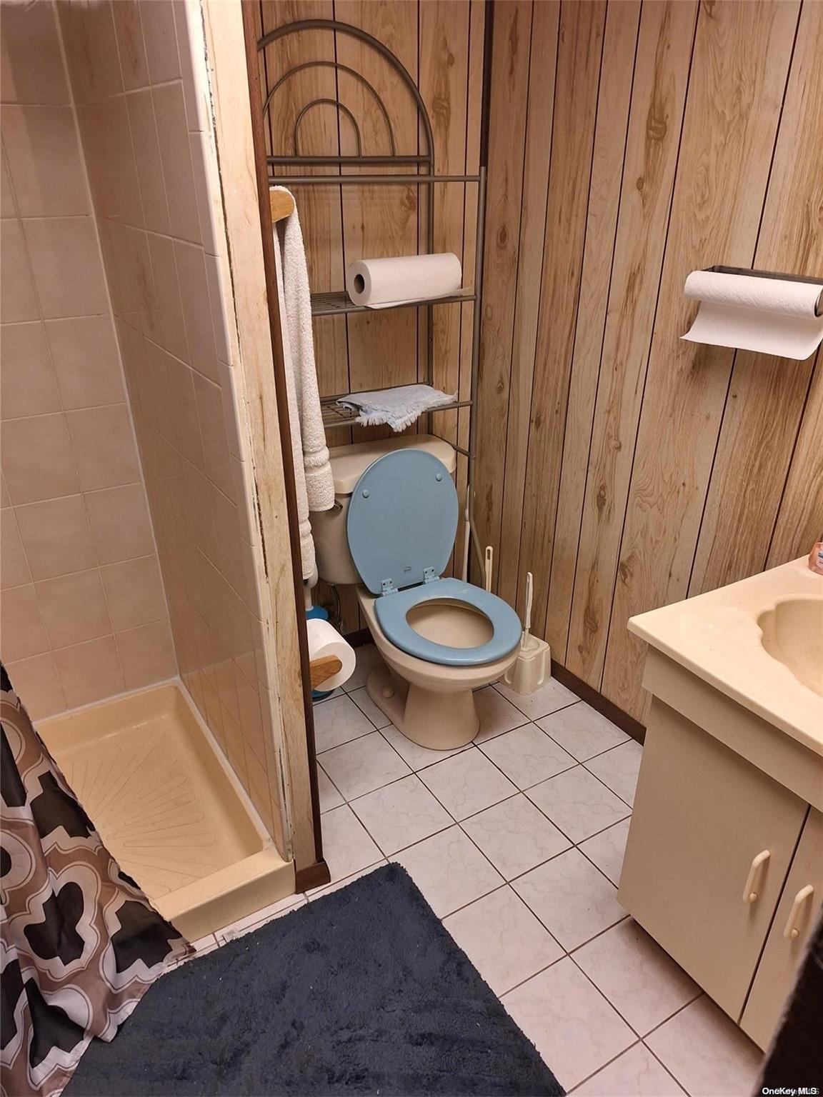 109-29 Union Hall Street Queens, NY 11433 - Photo 20 of 20 Bathroom Basement