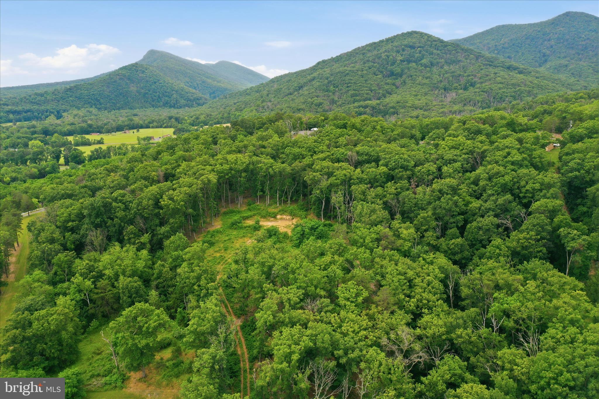 Messick Road Strasburg, VA 22657 - Photo 19 of 22