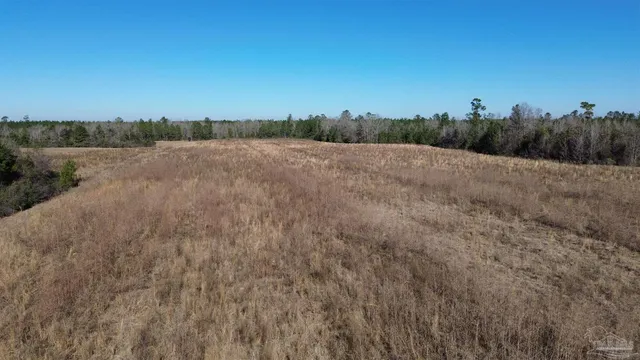 $199,900 | Lot 57 Mineral Springs Road, Jay, FL 32565