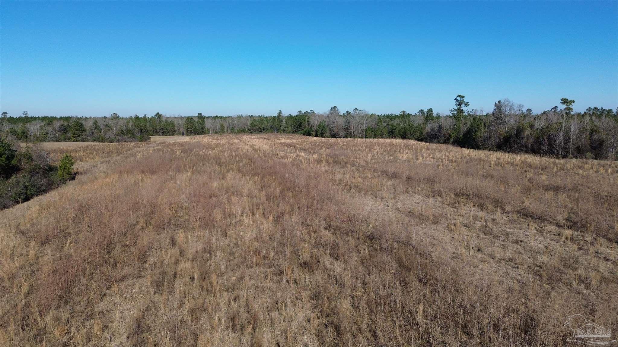 Lot 57 Mineral Springs Road Jay, FL 32565 - Photo 2 of 7