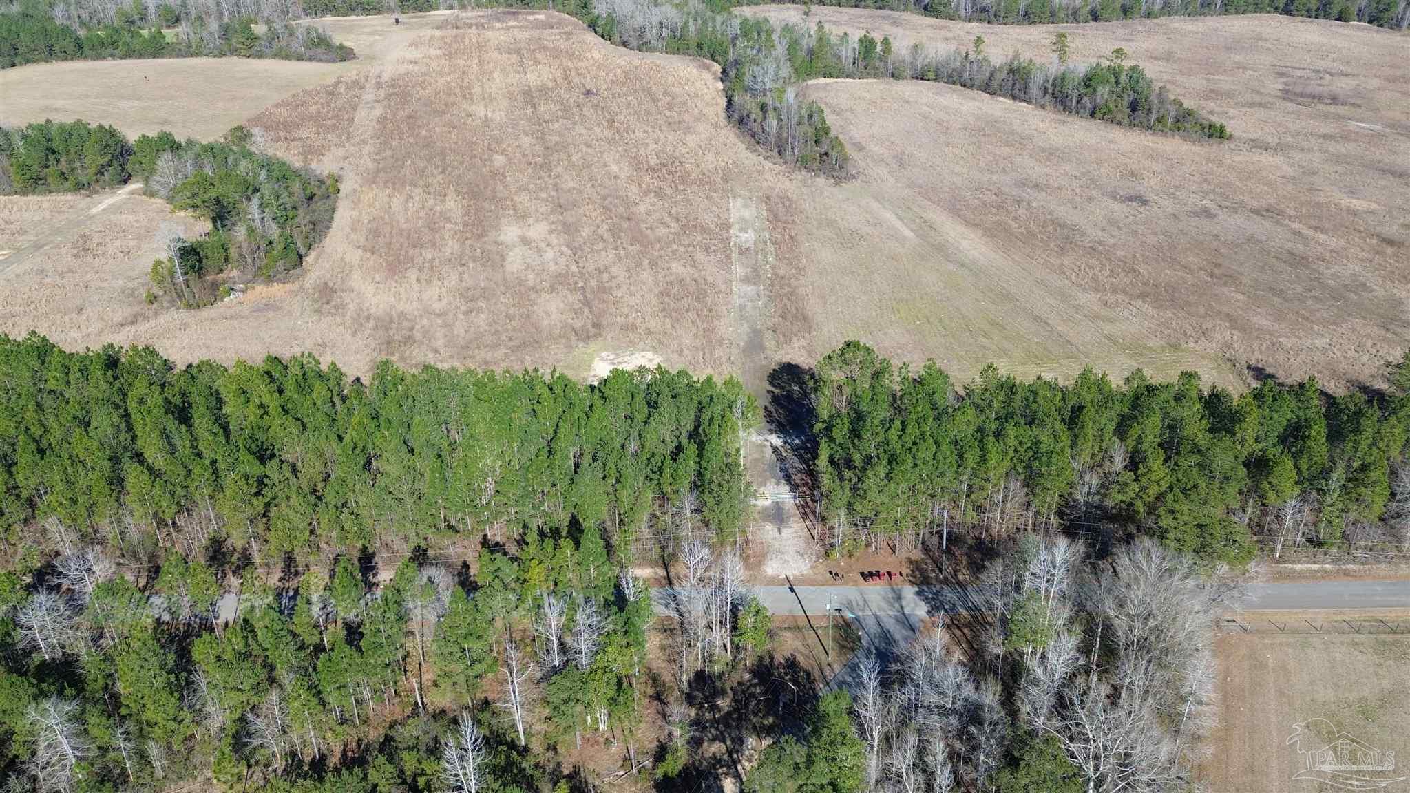 Lot 57 Mineral Springs Road Jay, FL 32565 - Photo 3 of 7