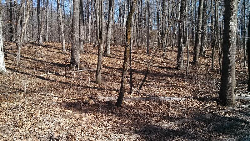 1 Stone Coal Road Troutville, VA 24175 - Photo 1 of 1 Tract 1