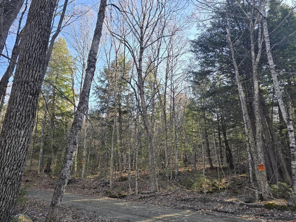 Lot 9-12 Smith Road New Sharon, ME 04955 - Photo 8 of 19 20250428_174317_resized