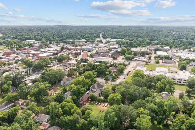 an aerial view of residential houses with outdoor space and trees