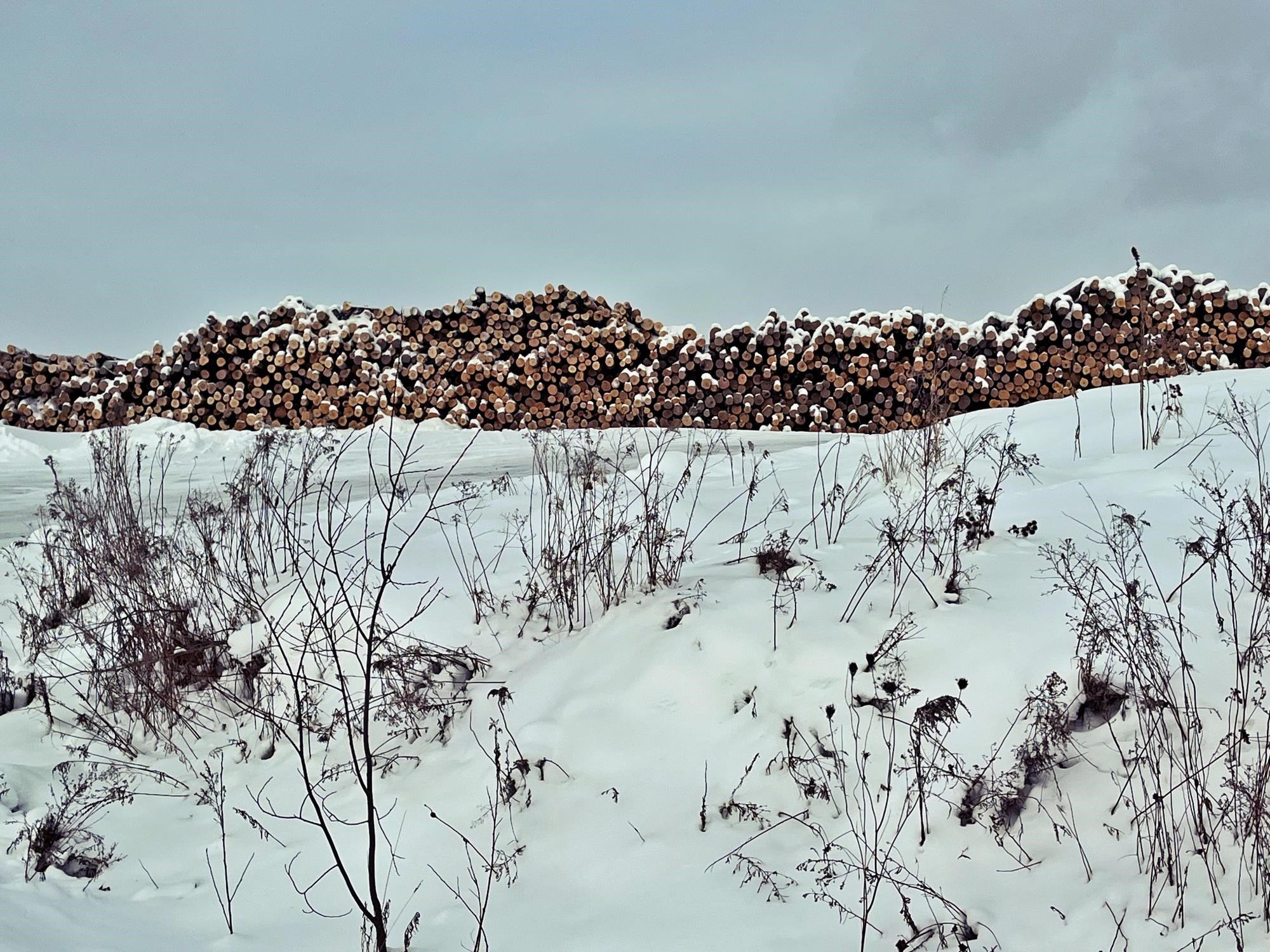 109 River Road Irasburg, VT 05860 - Photo 28 of 32