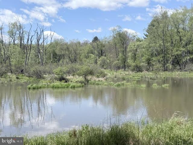 Turkey Neck Road Swanton, MD 21561 - Photo 20 of 23 a body of water with a tree in the background