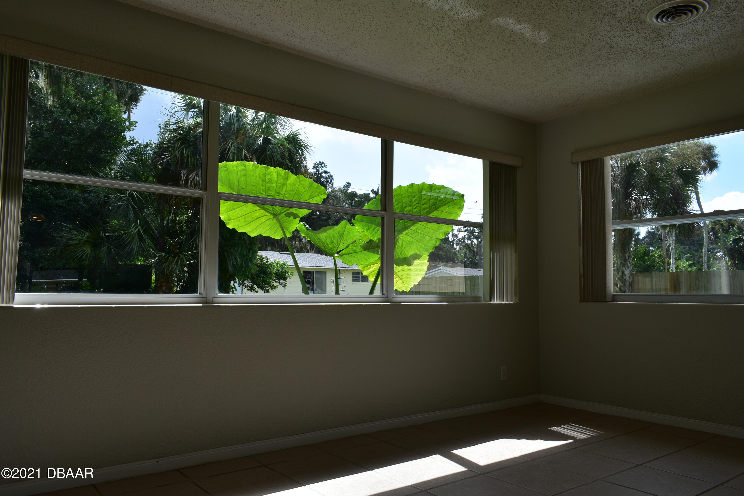 863 Pineapple Road South Daytona, FL 32119 - Photo 7 of 12 DSC_1037