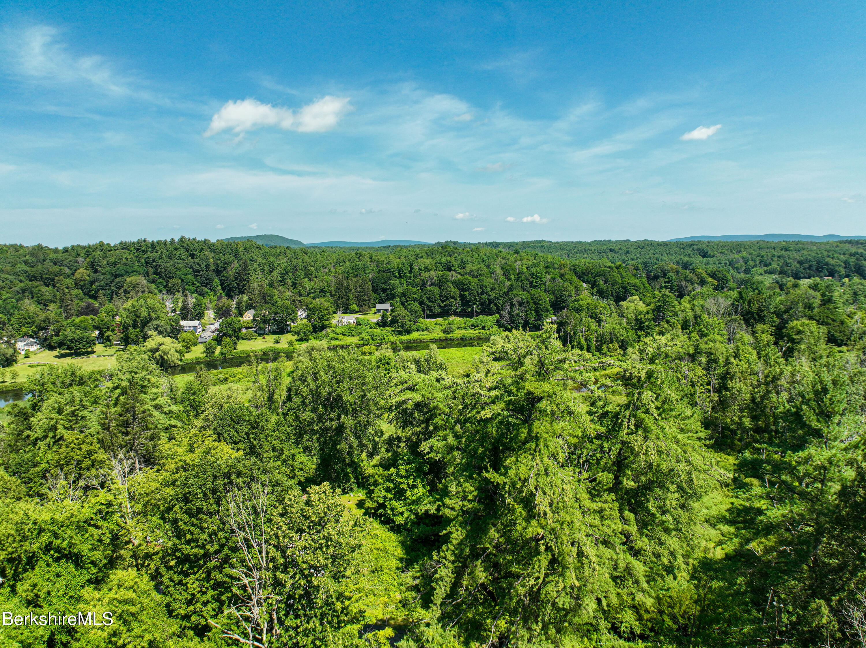 190 Willow Street Lee, MA 01260 - Photo 11 of 48 a view of a bunch of trees