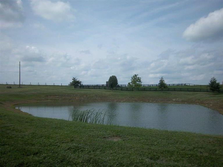 1005 Waits Road Cynthiana, KY 41031 - Photo 14 of 33 Photo 14