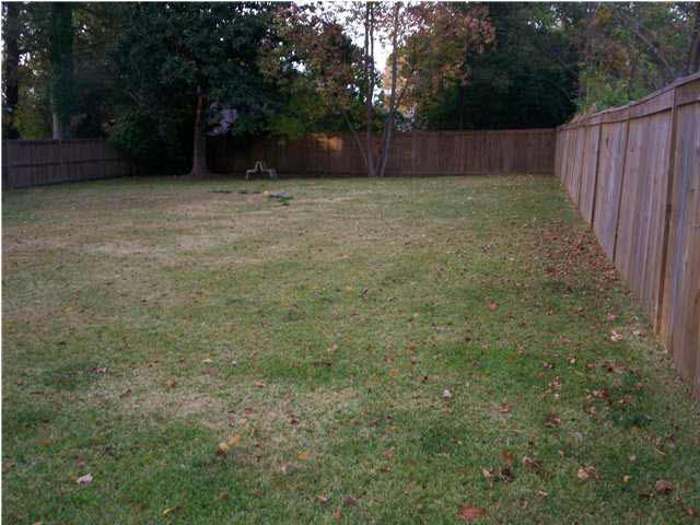 120 Magnolia Street Ridgeland, MS 39157 - Photo 3 of 12 Photo 3