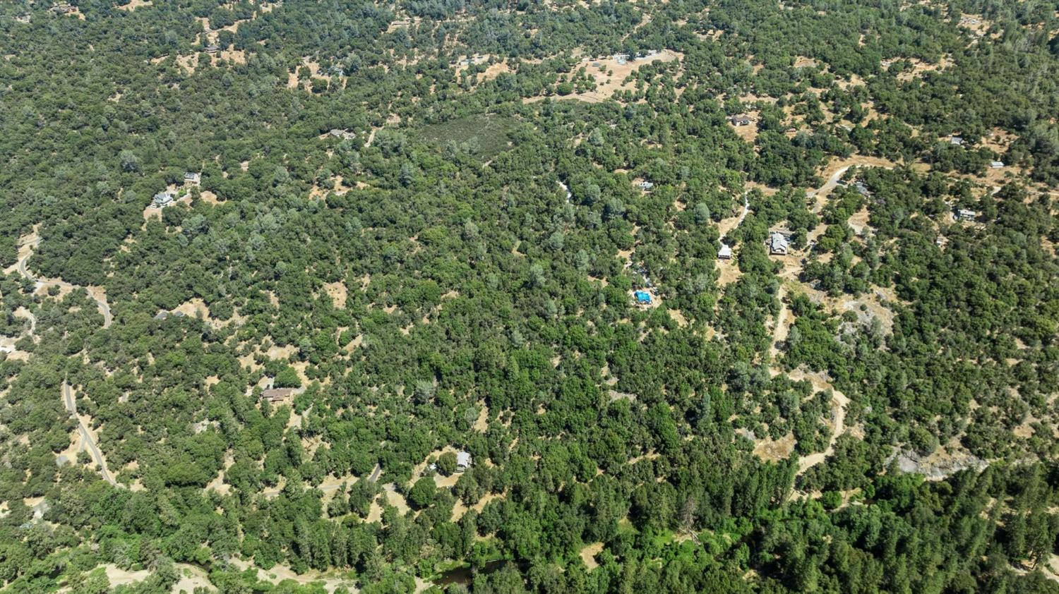 0 Cosumnes View Trail Placerville, CA 95667 - Photo 14 of 15 a view of a lush green forest