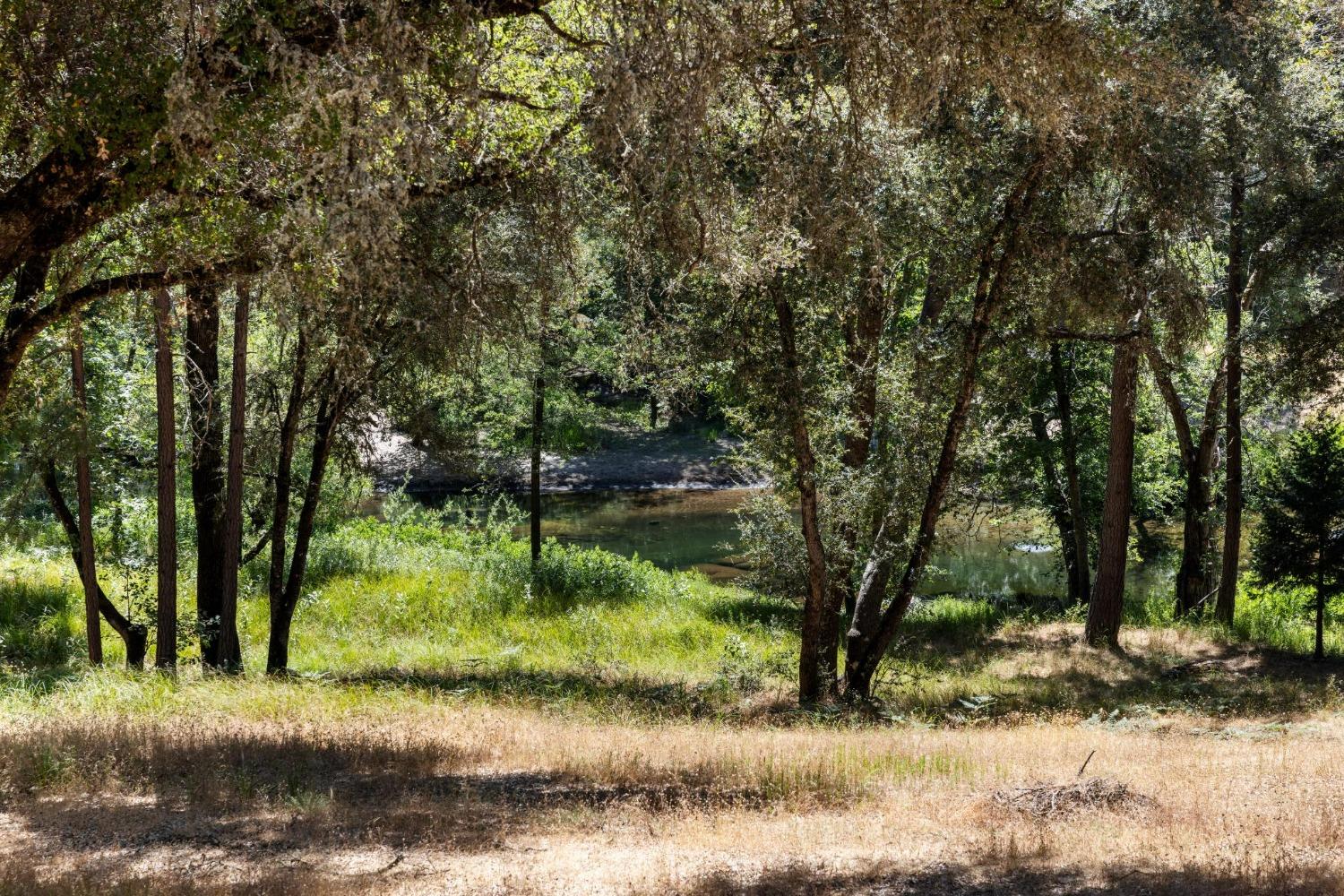 0 Cosumnes View Trail Placerville, CA 95667 - Photo 6 of 15 a backyard of a house with lots of green space