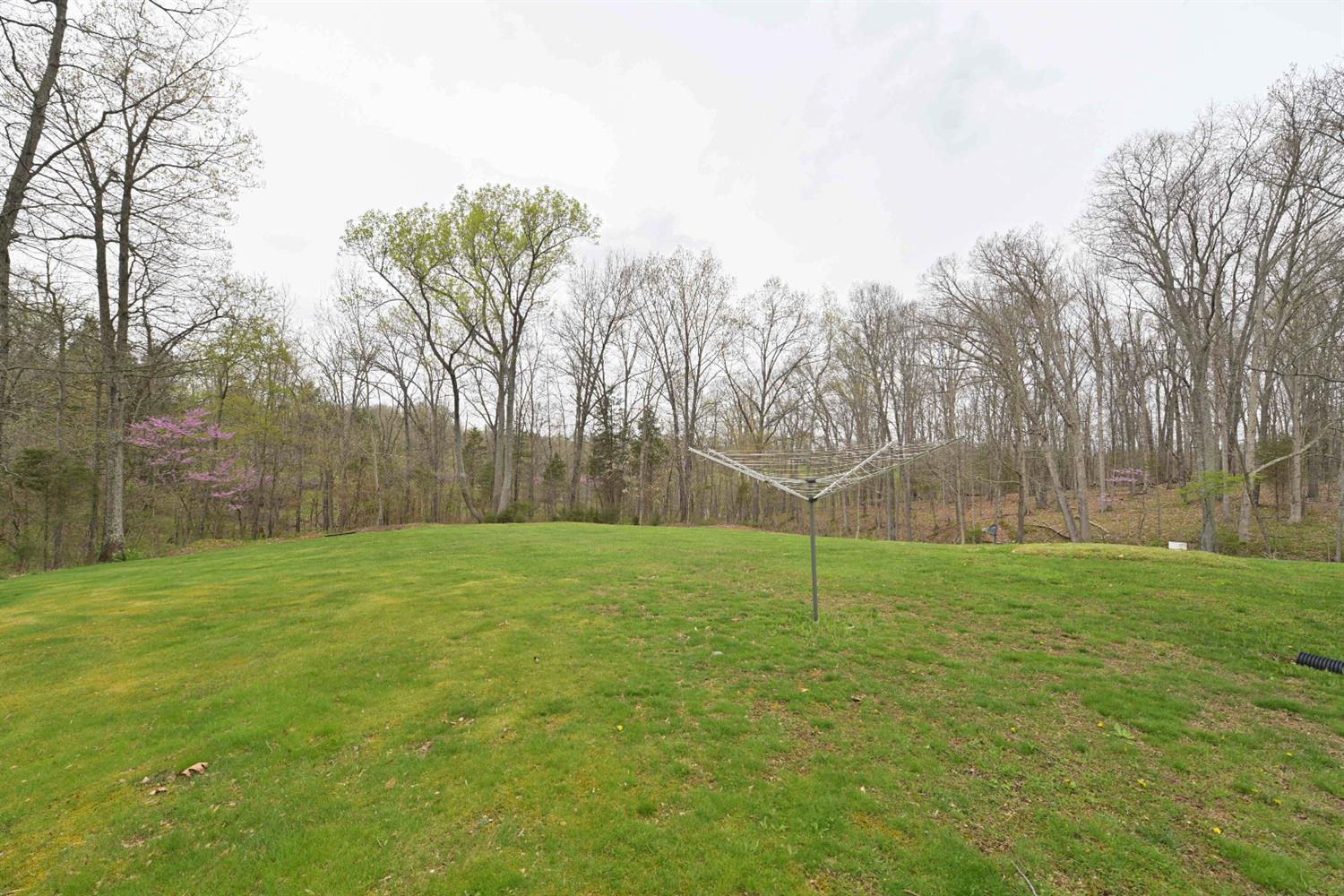 9267 Levell Road Bennington, IN 47011 - Photo 8 of 19