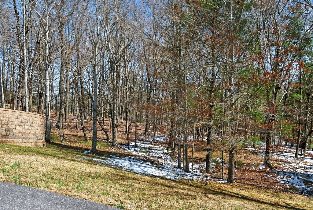 1955 B Joy Ranch Road Woodlawn, VA 24381 - Photo 4 of 43 Gallery Image 4