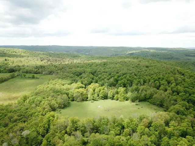 a view of a field with an ocean
