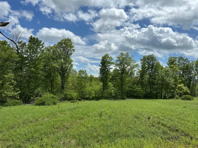 a view of a yard with a trees in the background