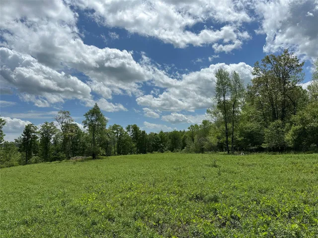 a view of a green field with lots of bushes
