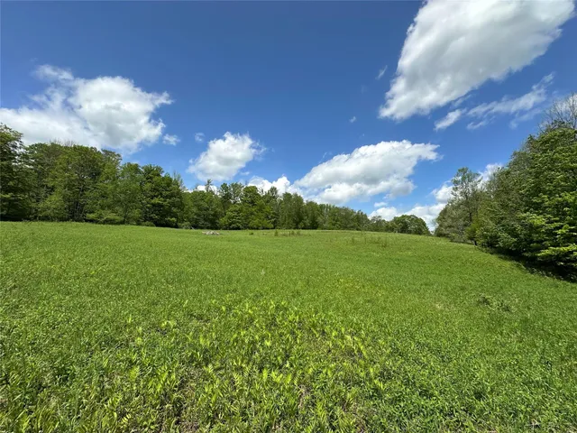 a view of outdoor space and trees