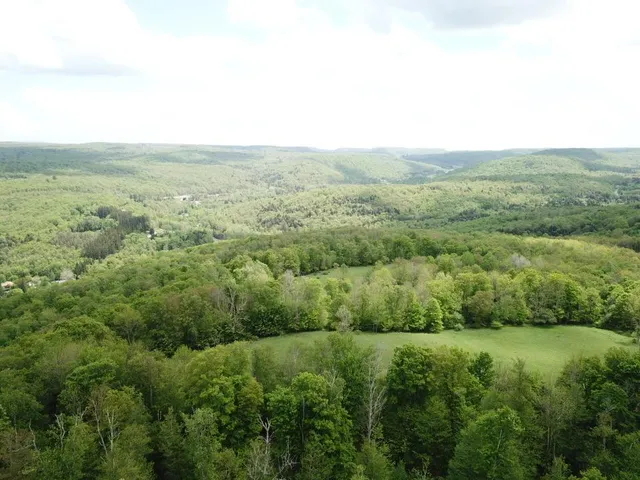 a view of a field with an trees