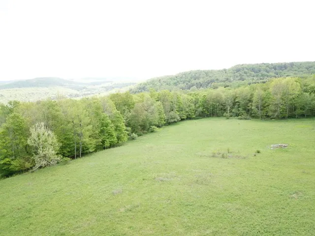 a view of a big yard with an outdoor space