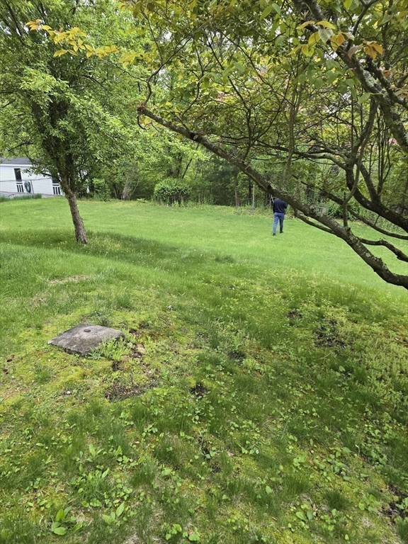 150 Grove Street Reading, MA 01867 - Photo 16 of 20 a view of a green field with lots of bushes