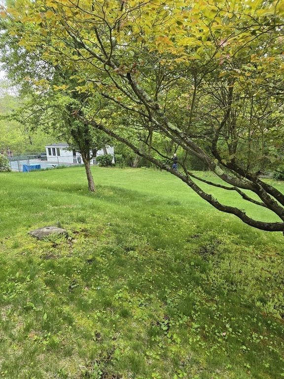 150 Grove Street Reading, MA 01867 - Photo 17 of 20 a view of an outdoor space and a yard