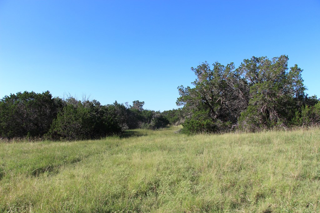 1030 Fairview Road Rocksprings, TX 78880 - Photo 2 of 18