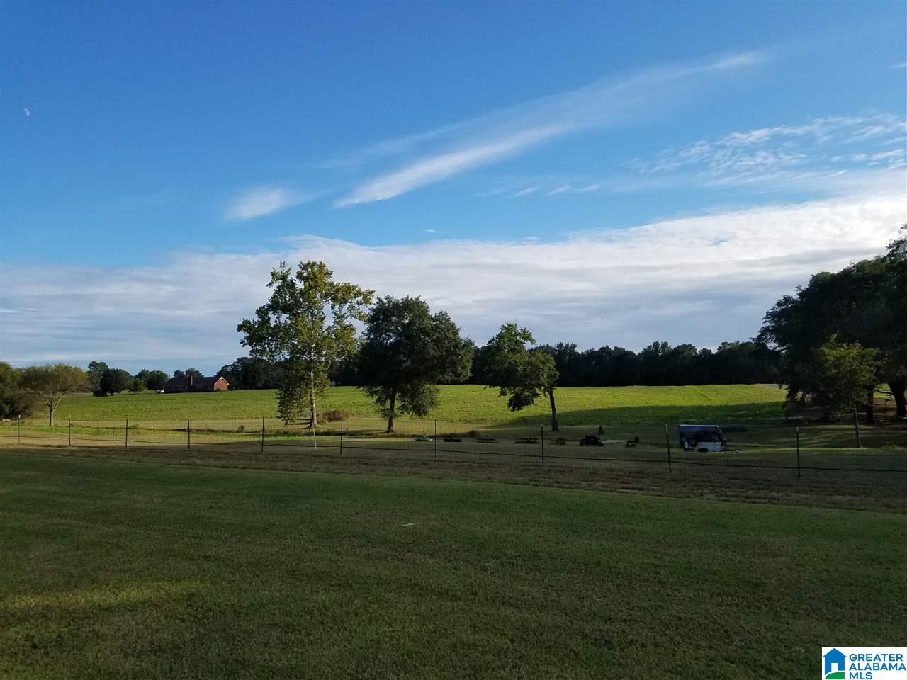 1602 River Bend Road Altoona, AL 35952 - Photo 25 of 34