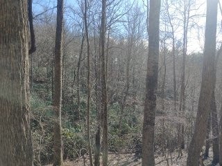 Tbd Falling Branch Road Northwest Floyd, VA 24091 - Photo 2 of 27 Gallery Image 2
