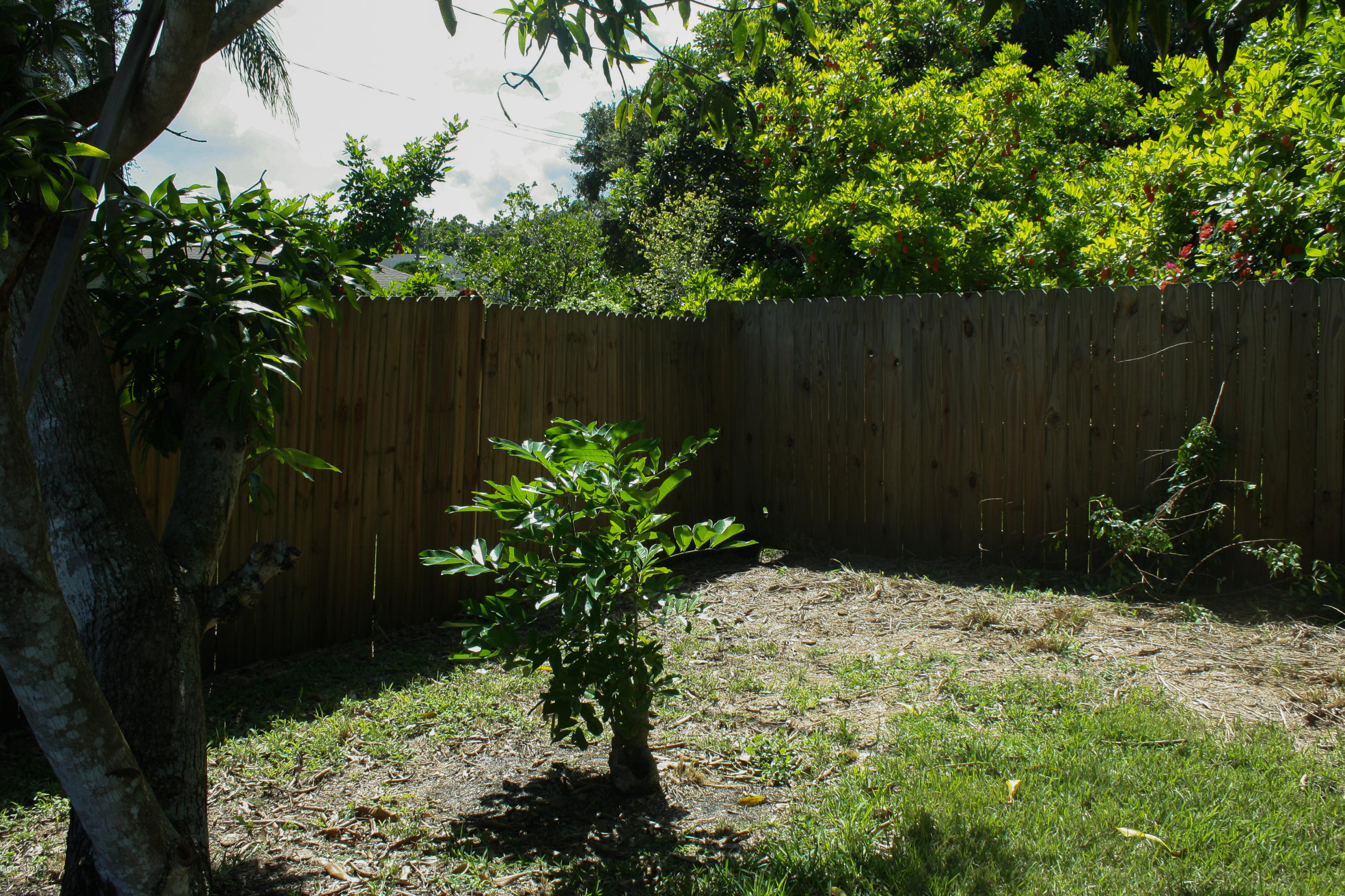 326 Riley Avenue Northeast Palm Bay, FL 32907 - Photo 40 of 43 a view of garden with plants
