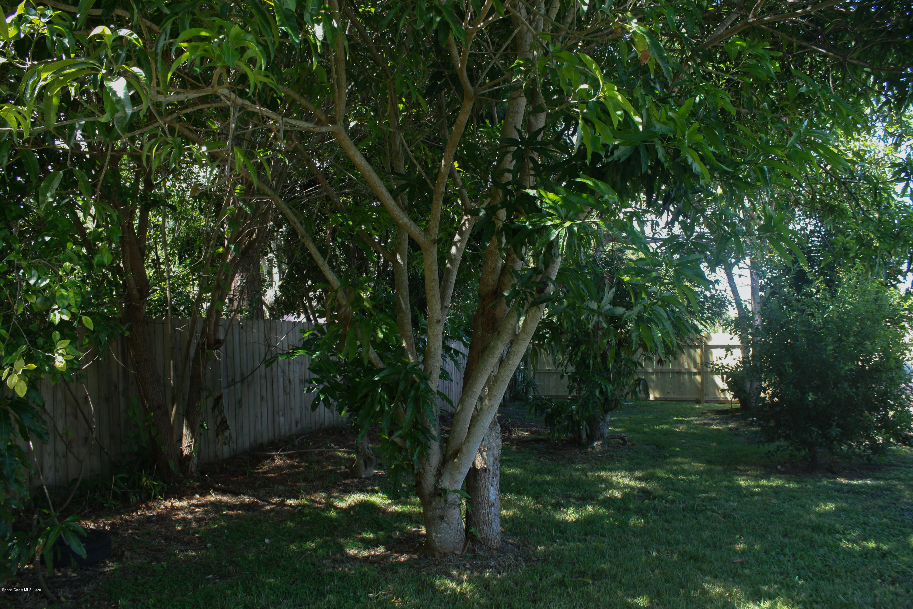 326 Riley Avenue Northeast Palm Bay, FL 32907 - Photo 41 of 43 a view of outdoor space and yard