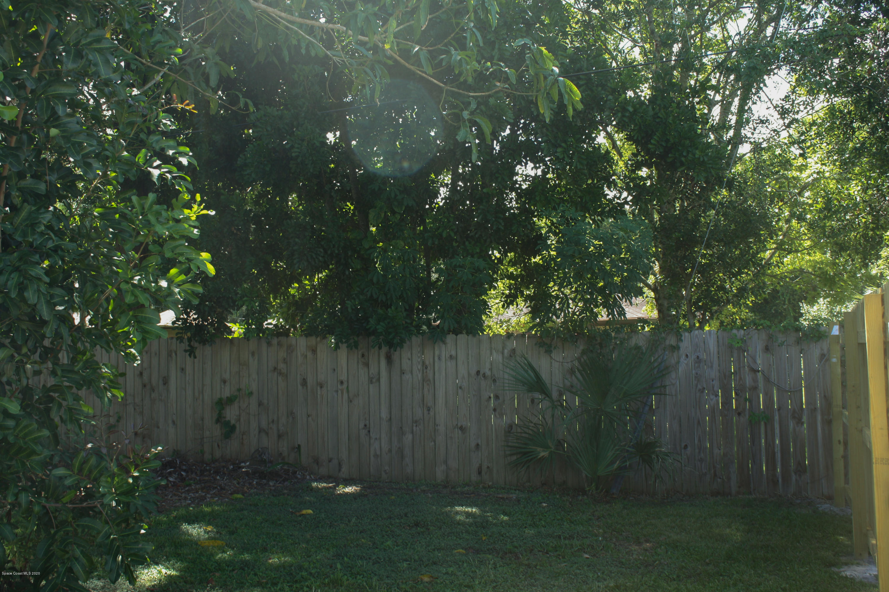 326 Riley Avenue Northeast Palm Bay, FL 32907 - Photo 43 of 43 a backyard of a house with lots of plants and tree