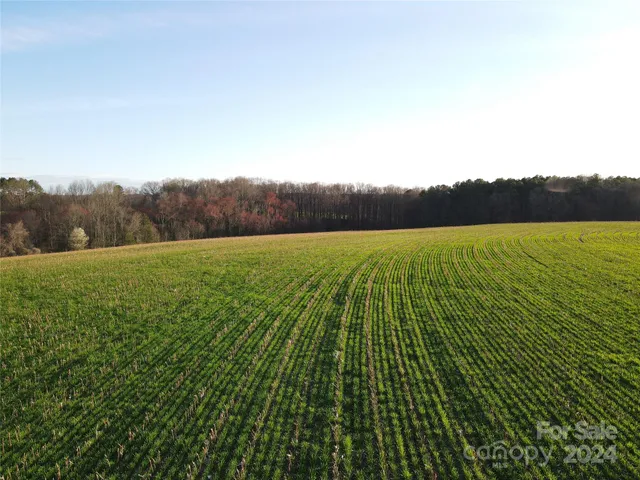 a view of lake with mountain