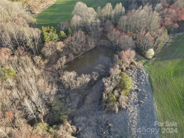 a view of a lake from a forest