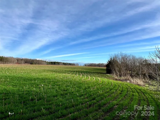 a view of garden with wooden fence
