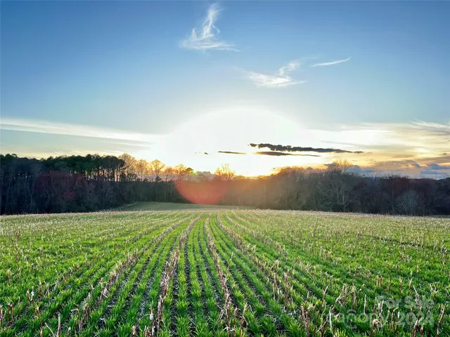 a view of a back yard