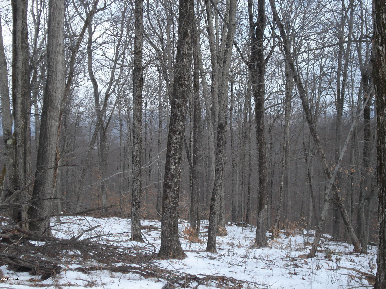 97 Row Off Route Port Crane, NY 13833 - Photo 6 of 10