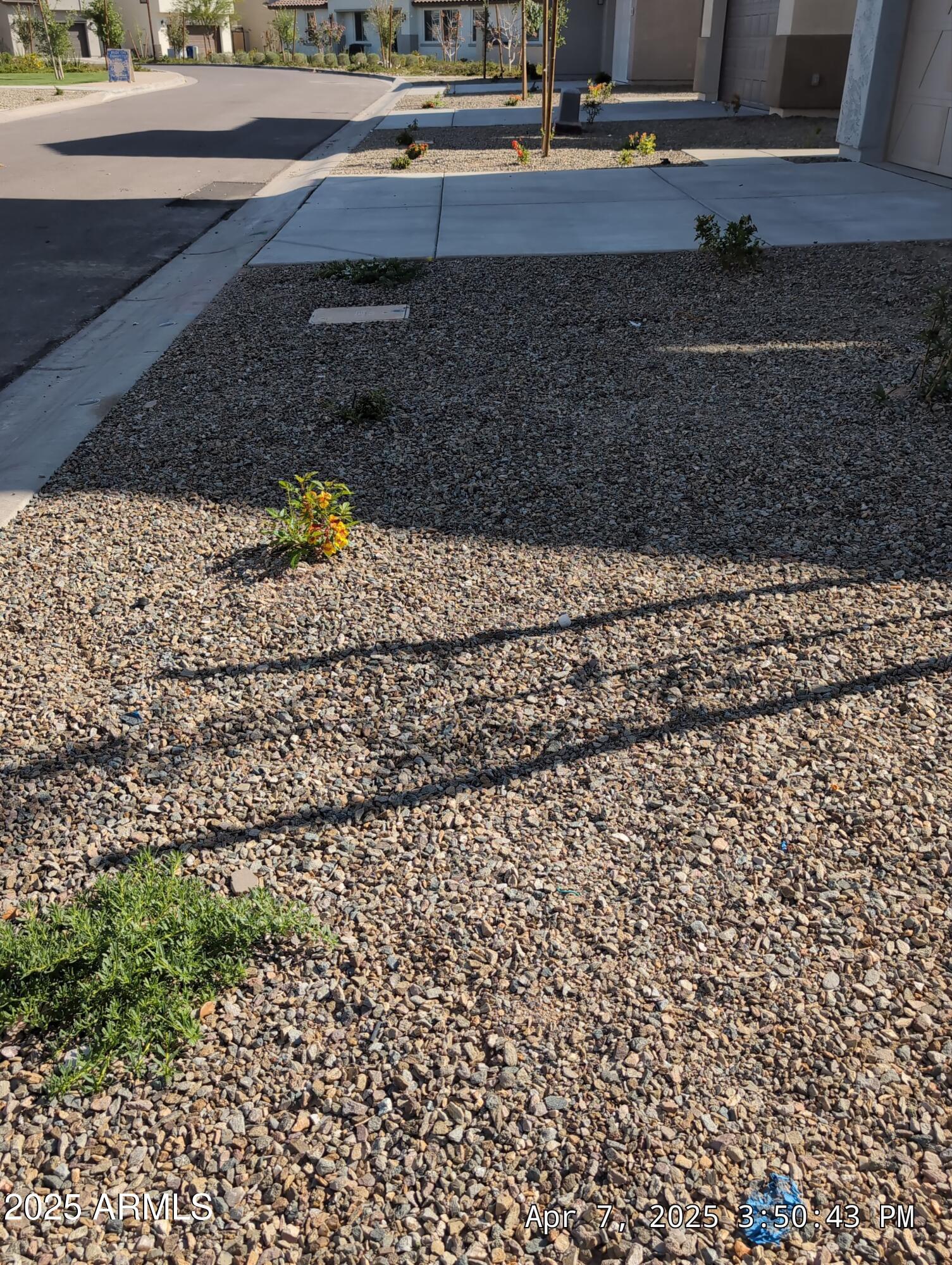 4514 South Pasteur Mesa, AZ 85212 - Photo 3 of 43 a view of a yard