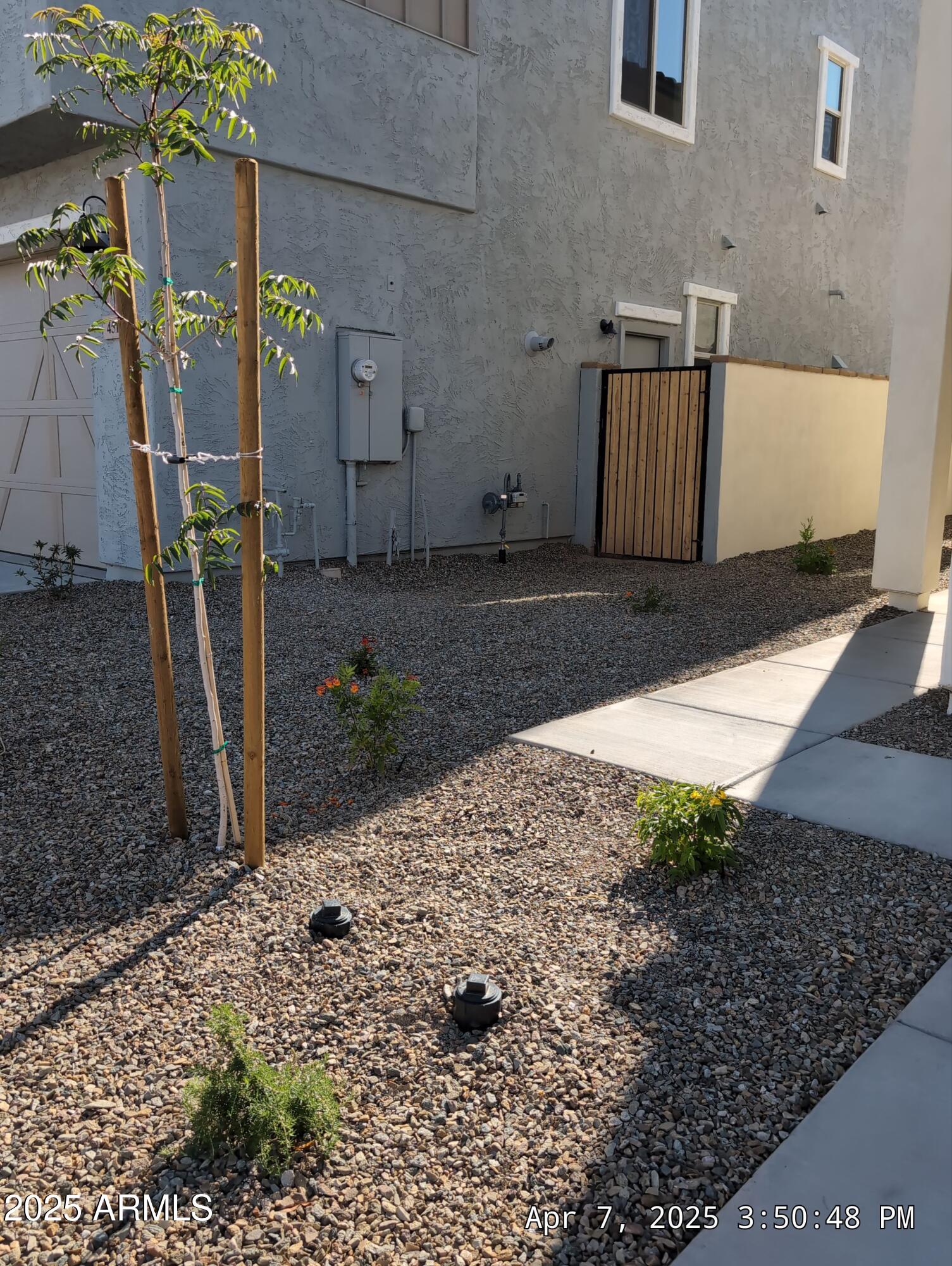 4514 South Pasteur Mesa, AZ 85212 - Photo 5 of 43 a view of a backyard