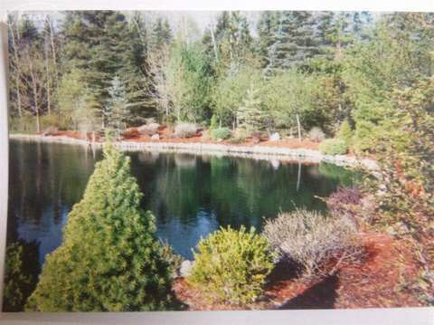 3350 North Nine Mile Road Pinconning, MI 48650 - Photo 25 of 39 20393124-25.JPG