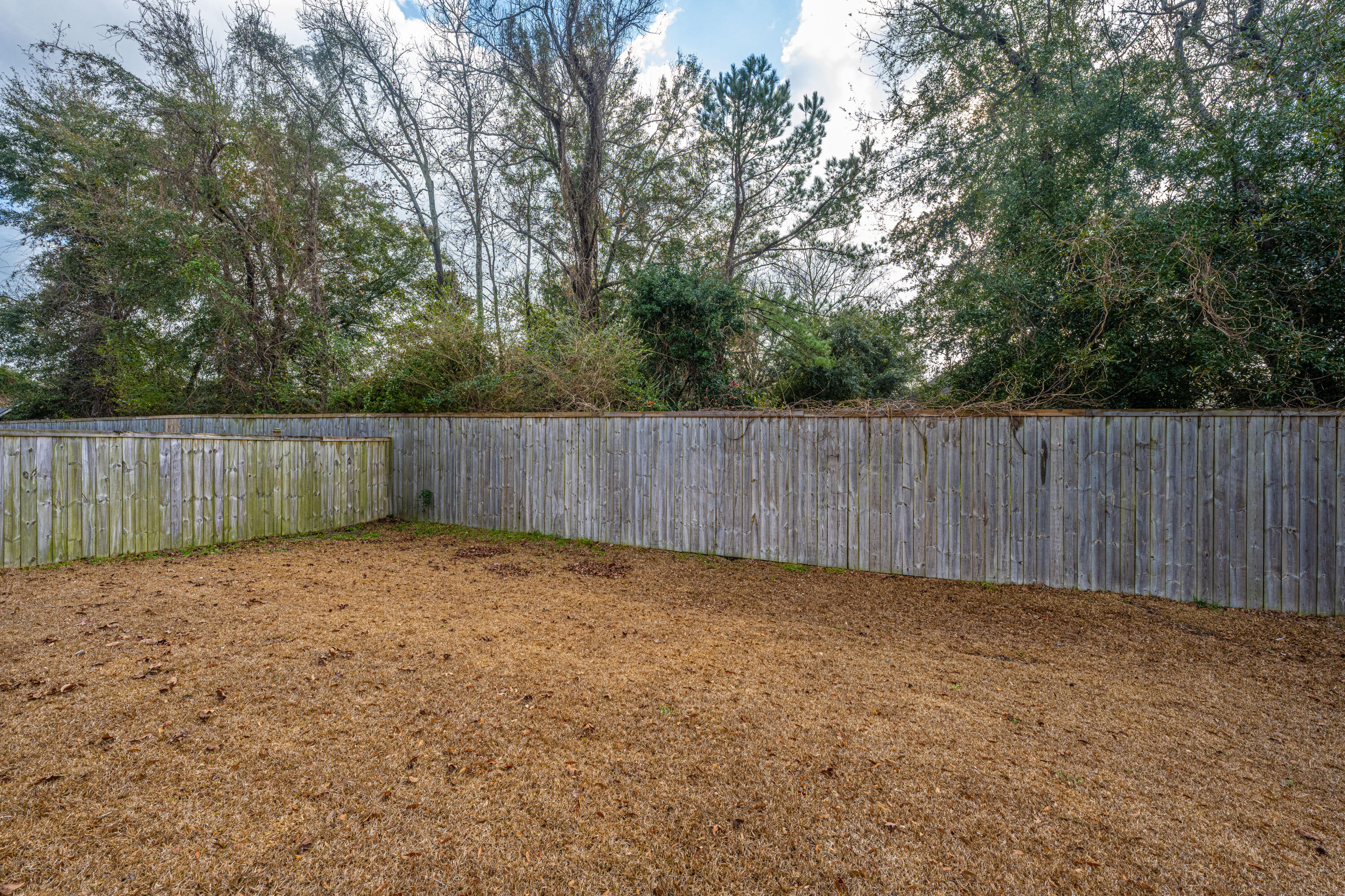 1253 Gannett Road Mount Pleasant, SC 29464 - Photo 42 of 47 Back yard